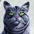 Enchanted Cat