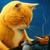 Jazz Cat 1